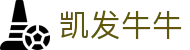 凯发牛牛 - (中国)衢州凯发牛牛科技有限责任公司欢迎您